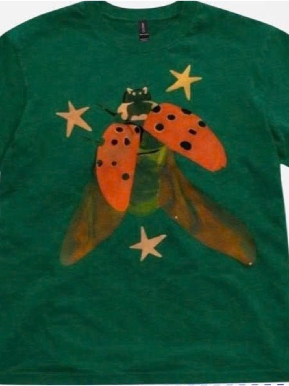 Green Tee with Orange Ladybug Graphic